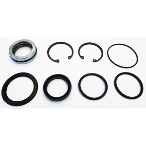 PACKNINGSSATS OLJEPUMP 1:1