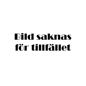 PNEUMATISKT STÄD 350