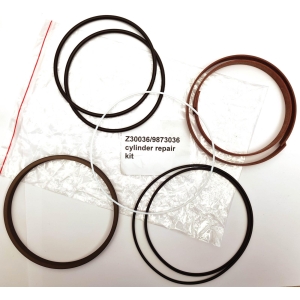 REPSATS CYLINDER S60-1H